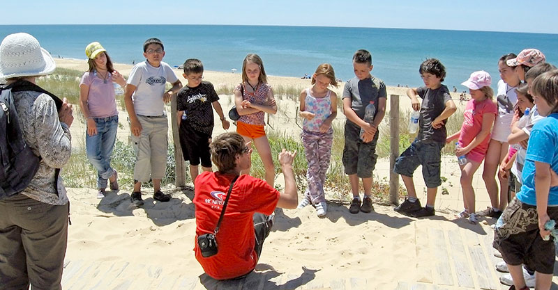 Surf Scolaire - Surfing Cap Ferret - Surf Club de la Presqu'ile